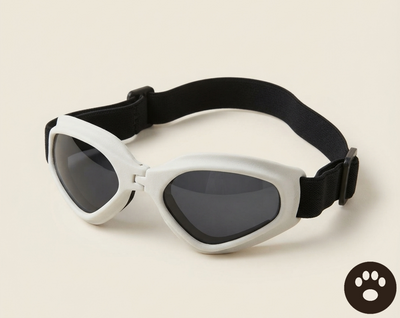 Gafas de Sol Plegables para Mascotas