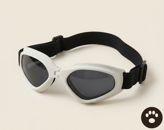 Gafas de Sol Plegables para Mascotas